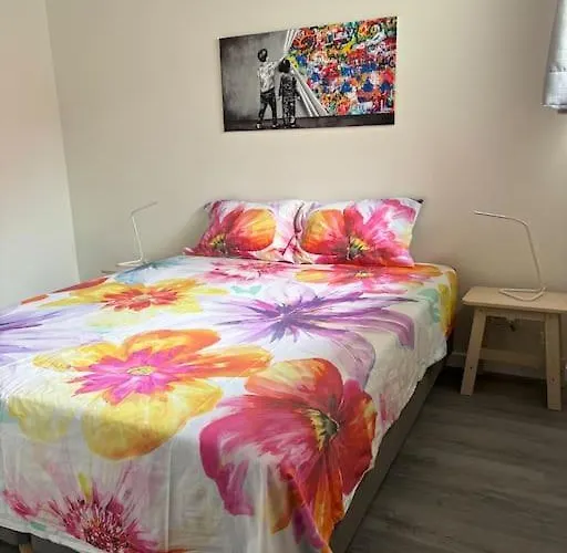 Belihouse Casa vacanze